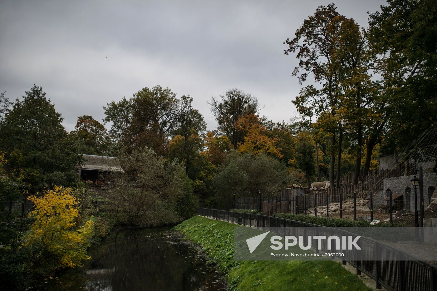 Kaliningrad Zoo
