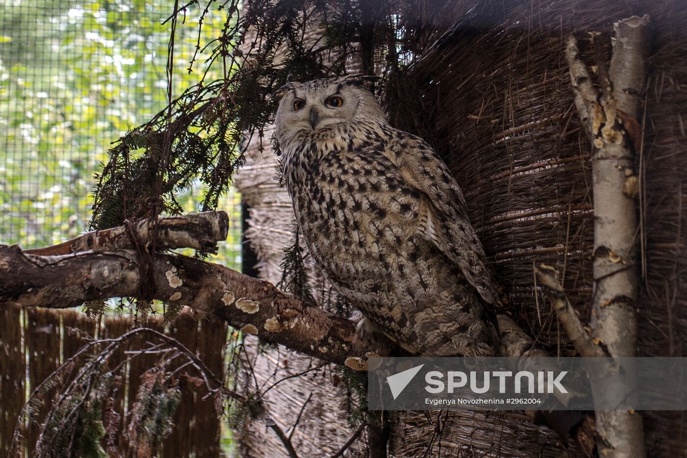 Kaliningrad Zoo