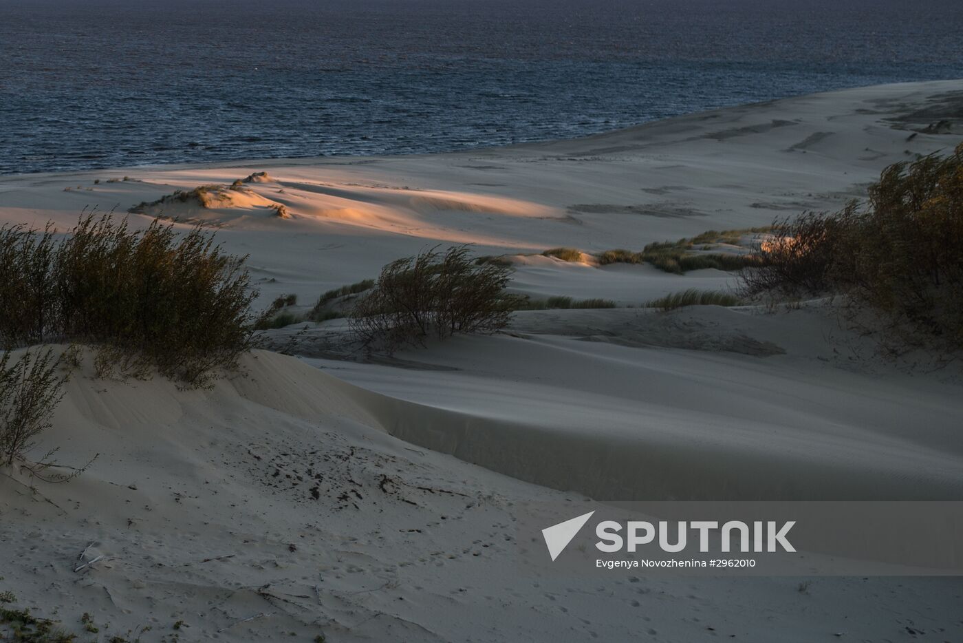 Curonian Spit national park in Kaliningrad Region