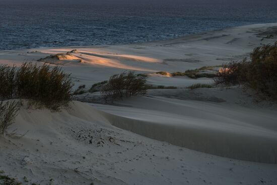Curonian Spit national park in Kaliningrad Region