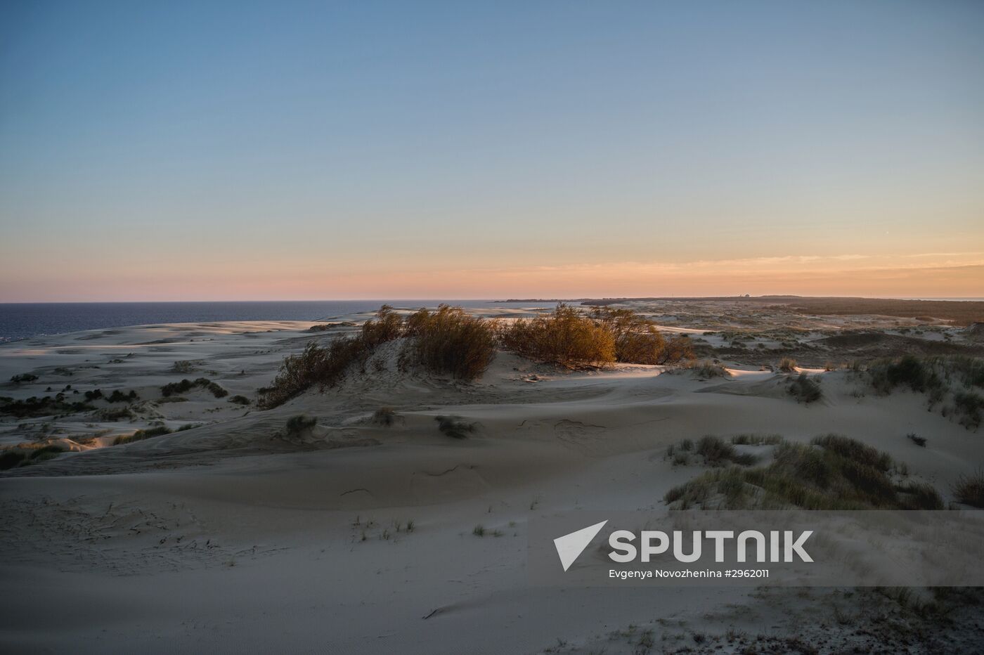 Curonian Spit national park in Kaliningrad Region