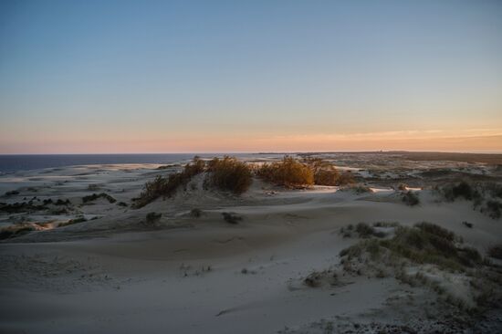 Curonian Spit national park in Kaliningrad Region