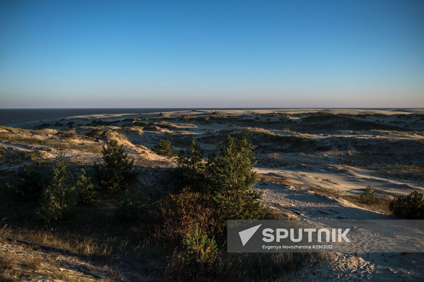 Curonian Spit national park in Kaliningrad Region
