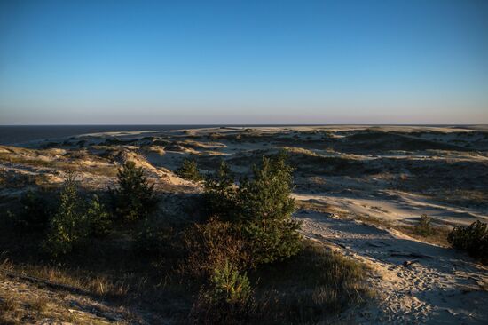 Curonian Spit national park in Kaliningrad Region