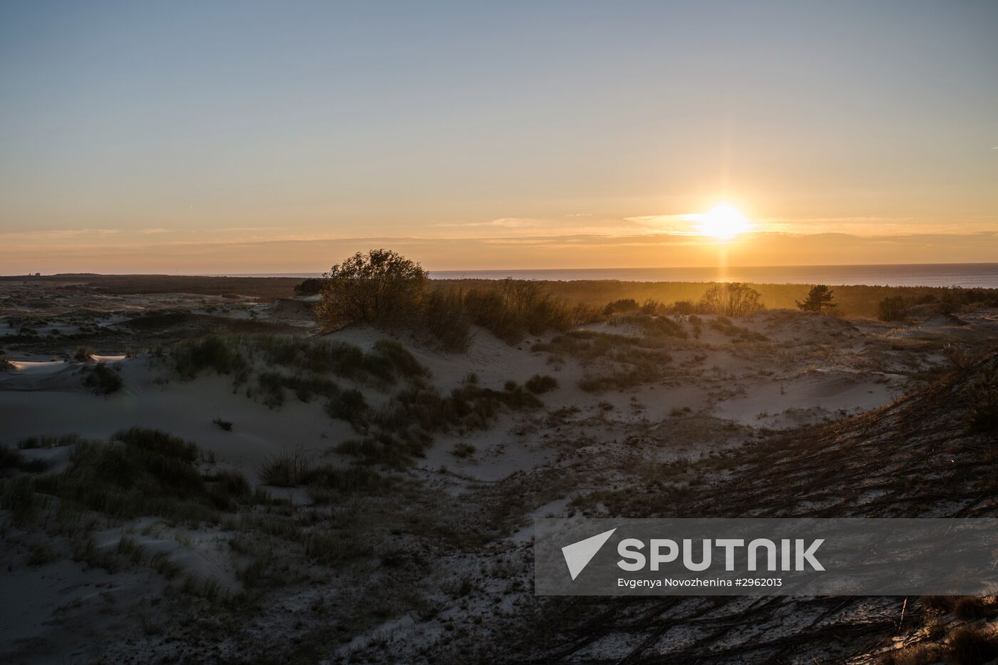 Curonian Spit national park in Kaliningrad Region
