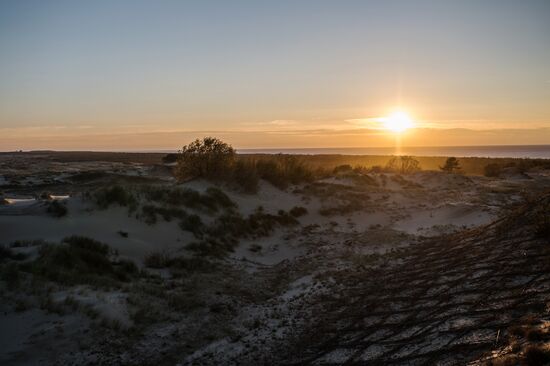 Curonian Spit national park in Kaliningrad Region