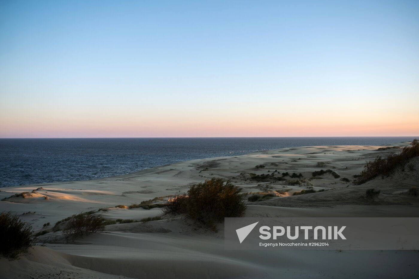 Curonian Spit national park in Kaliningrad Region