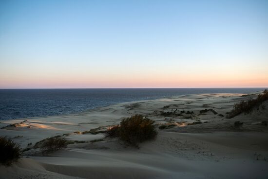Curonian Spit national park in Kaliningrad Region