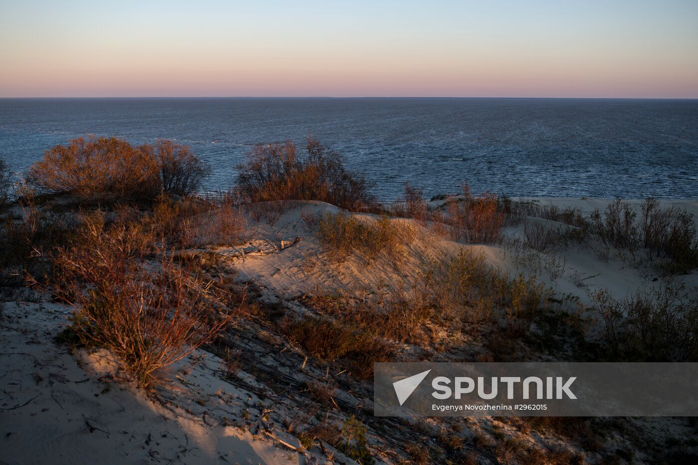 Curonian Spit national park in Kaliningrad Region