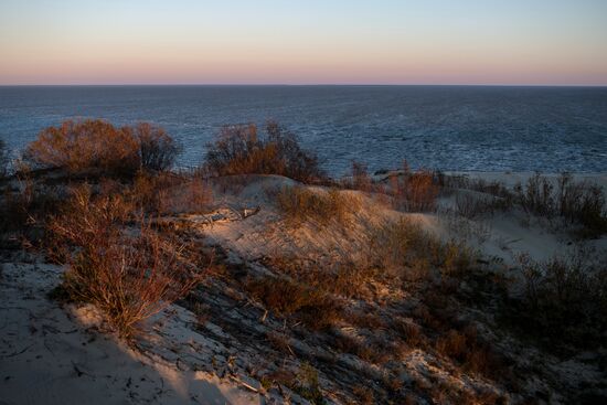 Curonian Spit national park in Kaliningrad Region