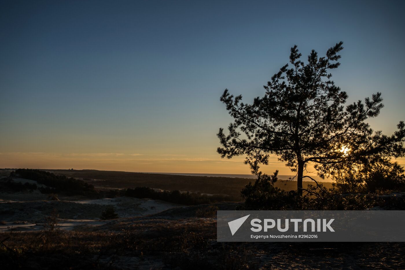 Curonian Spit national park in Kaliningrad Region