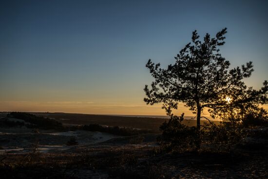 Curonian Spit national park in Kaliningrad Region