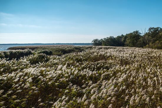 Curonian Spit national park in Kaliningrad Region