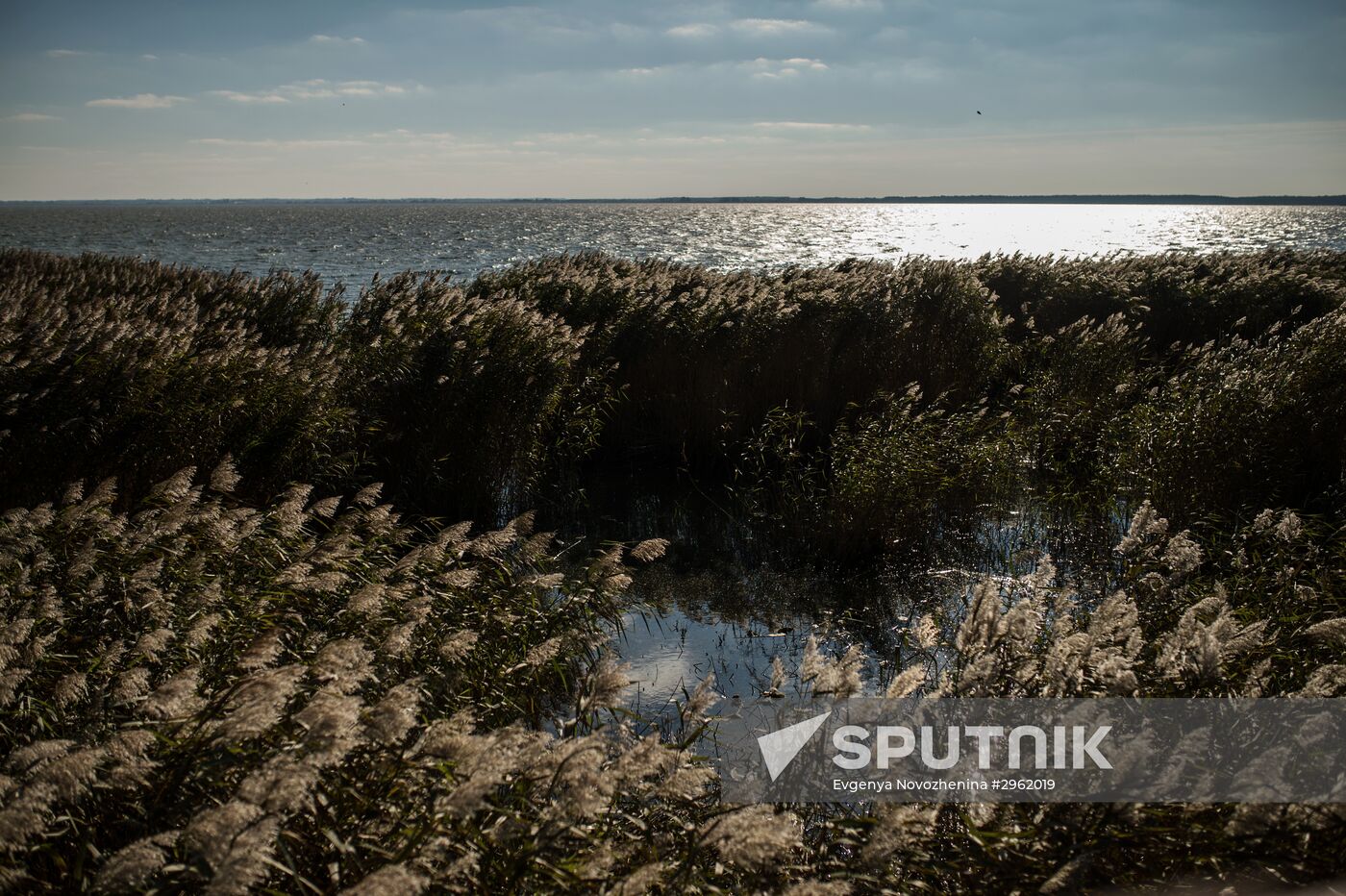Curonian Spit national park in Kaliningrad Region
