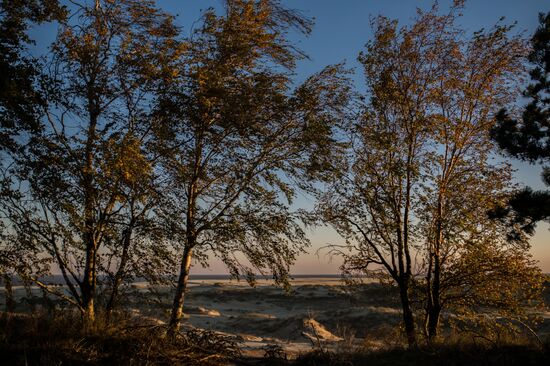 Curonian Spit national park in Kaliningrad Region