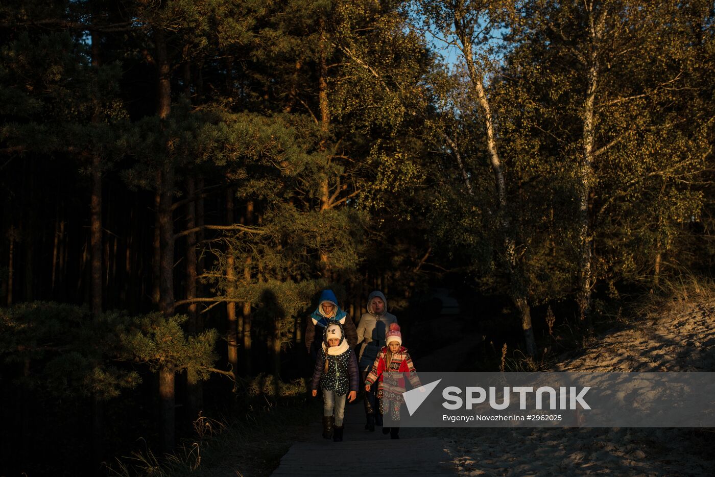 Curonian Spit national park in Kaliningrad Region