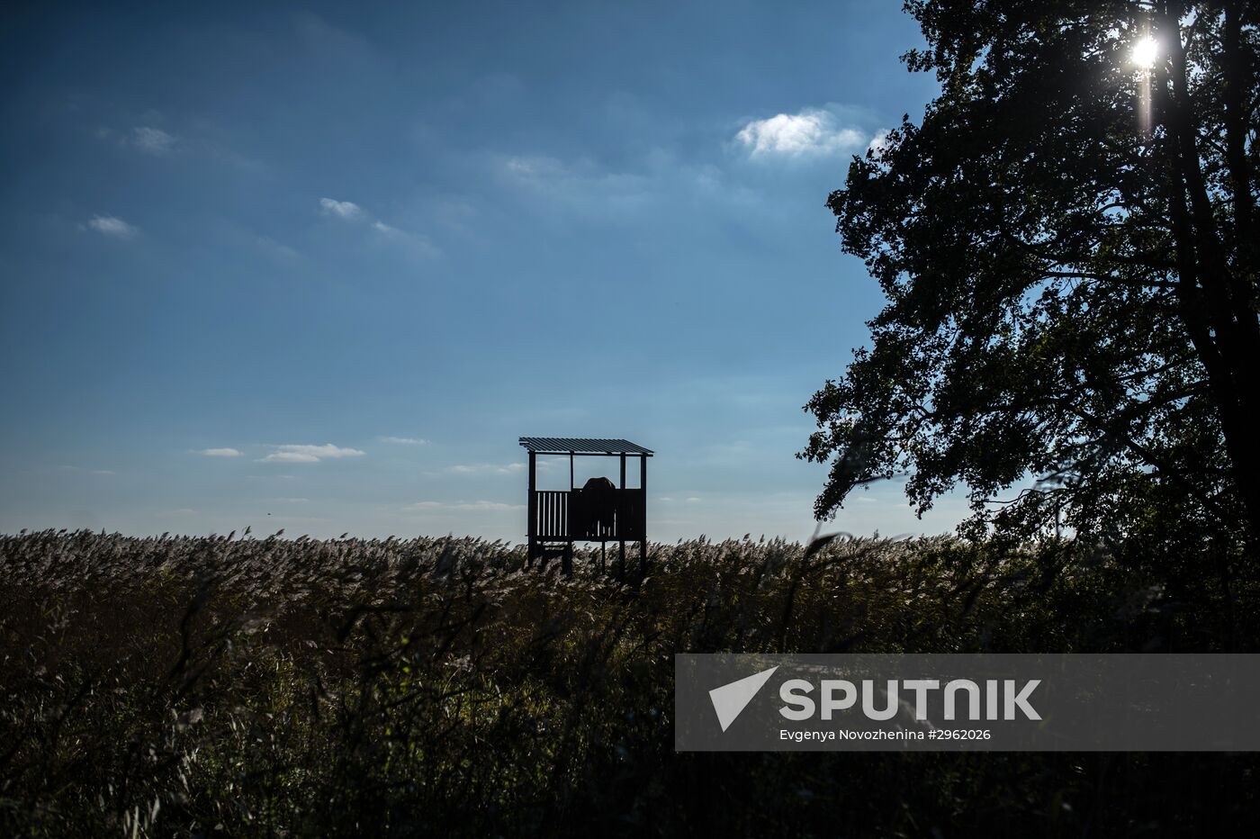 Curonian Spit national park in Kaliningrad Region