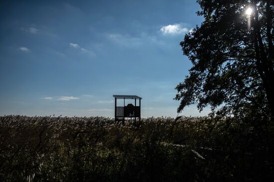 Curonian Spit national park in Kaliningrad Region