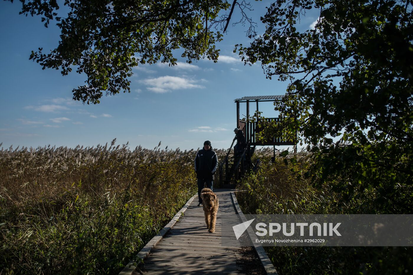 Curonian Spit national park in Kaliningrad Region
