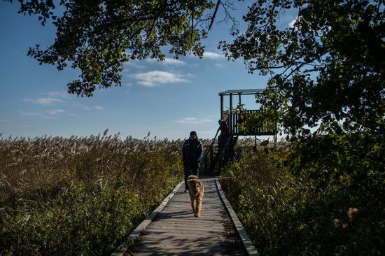 Curonian Spit national park in Kaliningrad Region