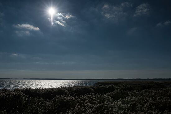 Curonian Spit national park in Kaliningrad Region