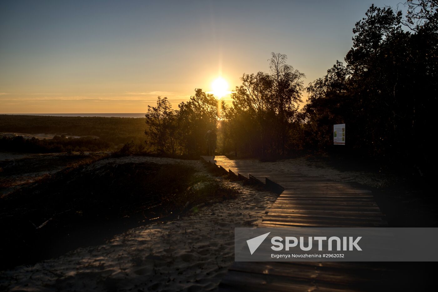 Curonian Spit national park in Kaliningrad Region