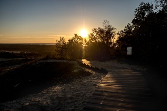 Curonian Spit national park in Kaliningrad Region