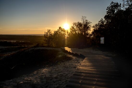 Curonian Spit national park in Kaliningrad Region