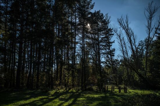 Curonian Spit national park in Kaliningrad Region