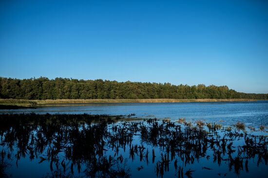 Curonian Spit national park in Kaliningrad Region