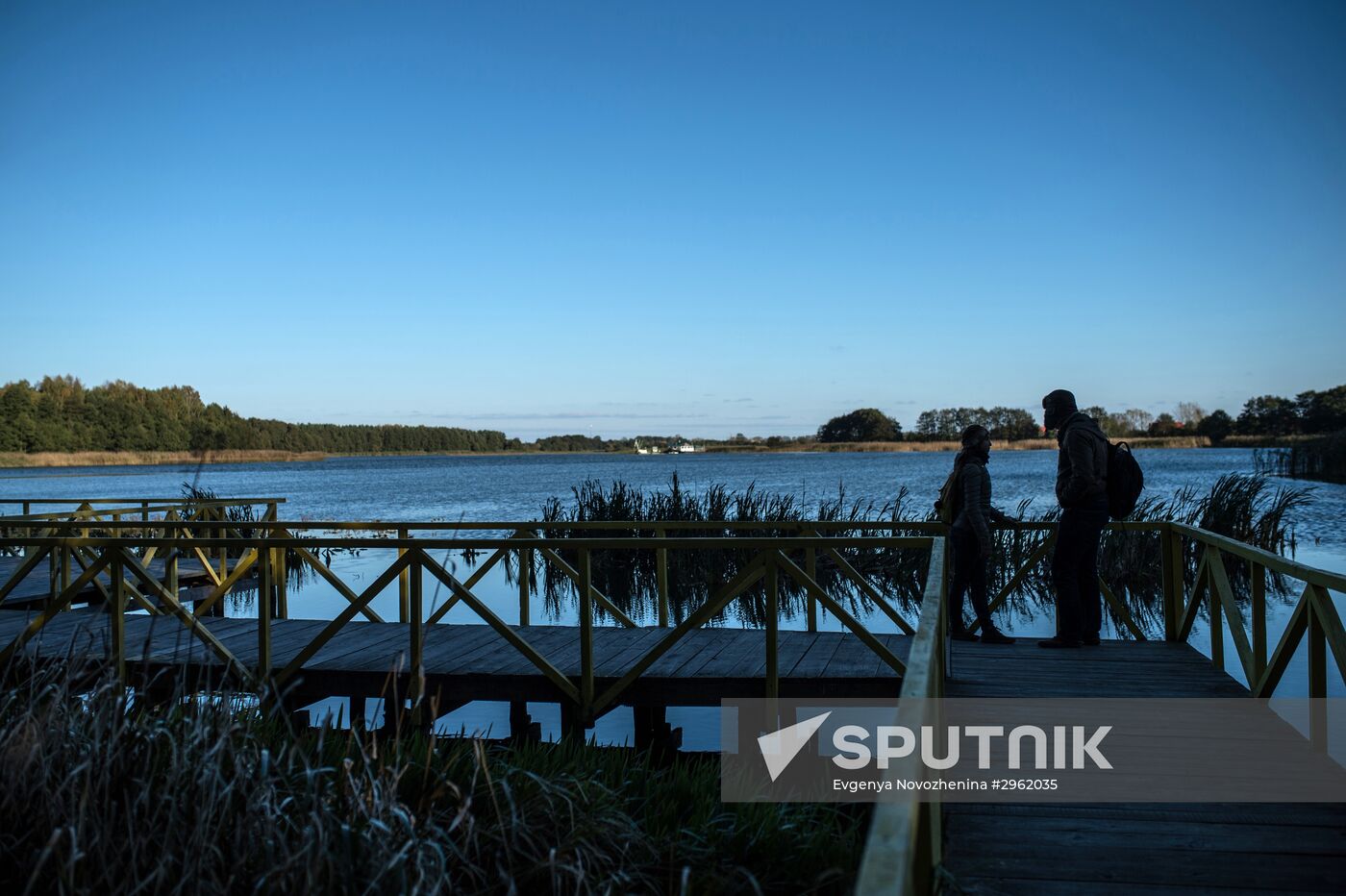 Curonian Spit national park in Kaliningrad Region