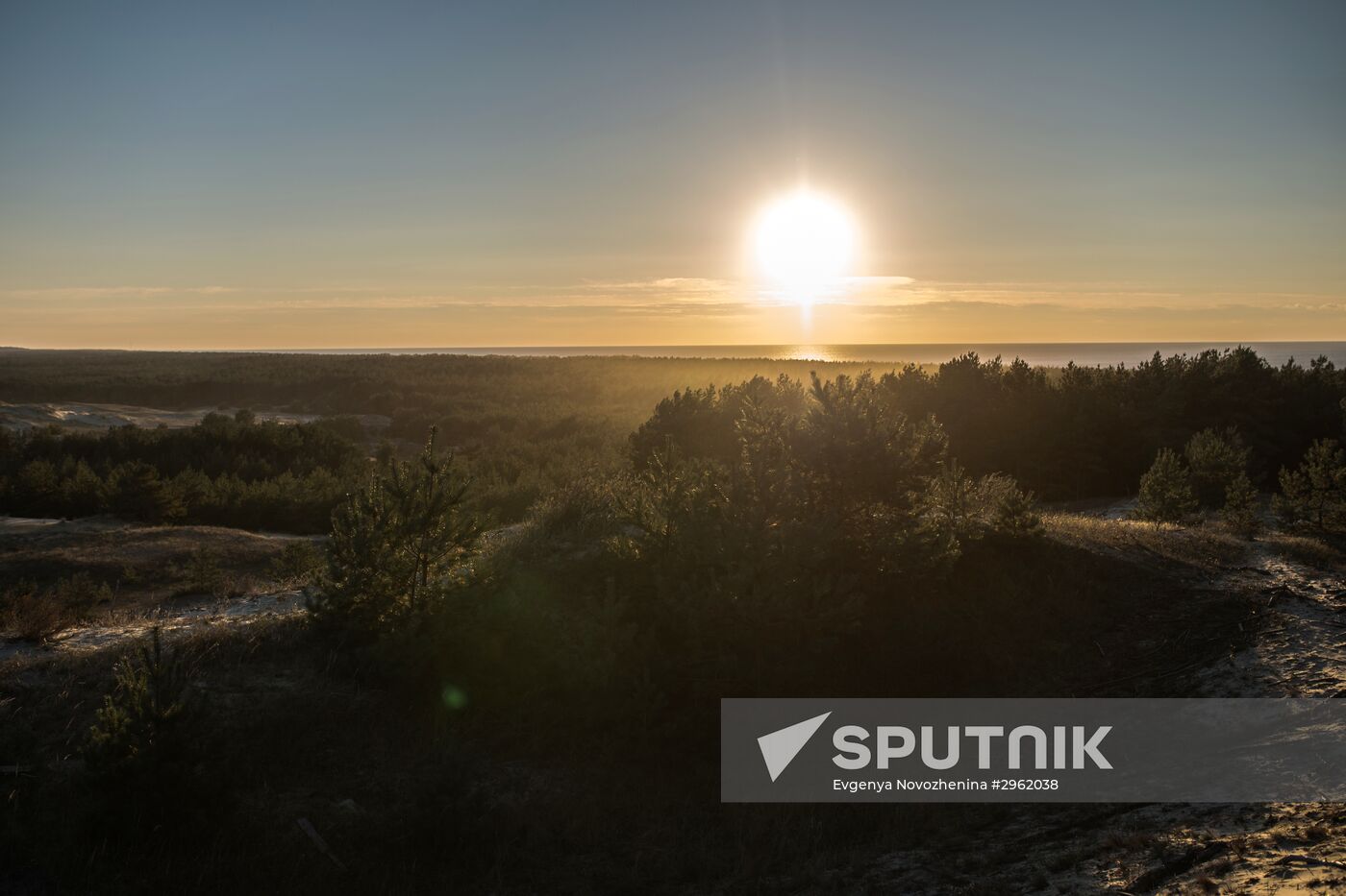 Curonian Spit national park in Kaliningrad Region
