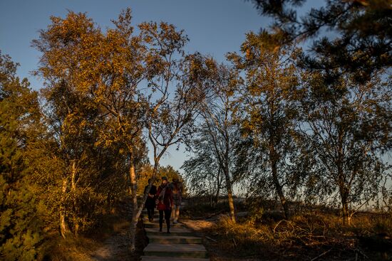 Curonian Spit national park in Kaliningrad Region