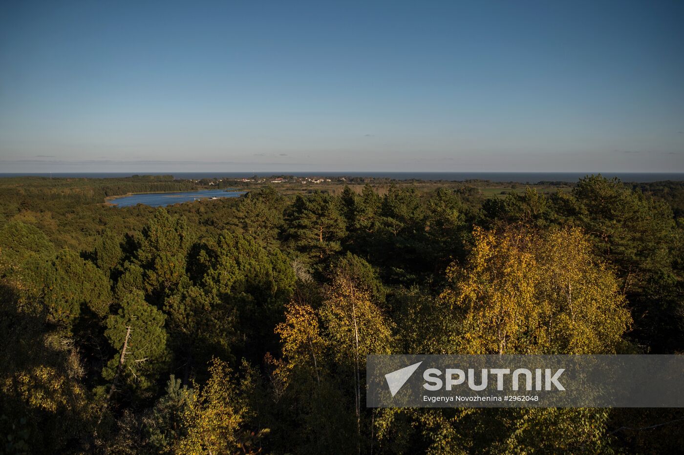 Curonian Spit national park in Kaliningrad Region