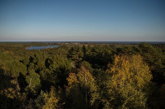 Curonian Spit national park in Kaliningrad Region