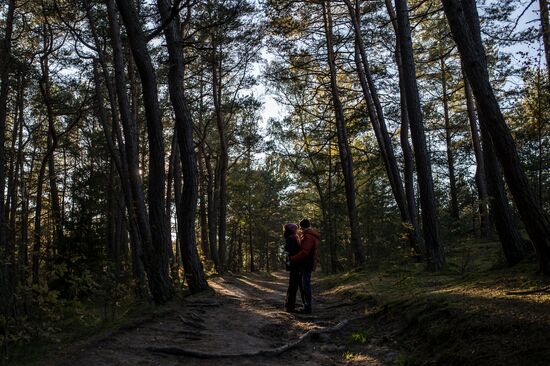 Curonian Spit national park in Kaliningrad Region