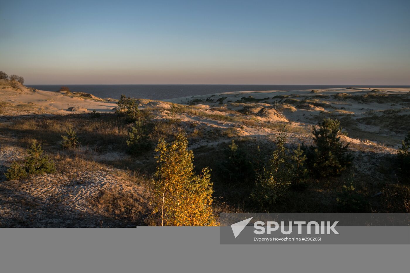 Curonian Spit national park in Kaliningrad Region