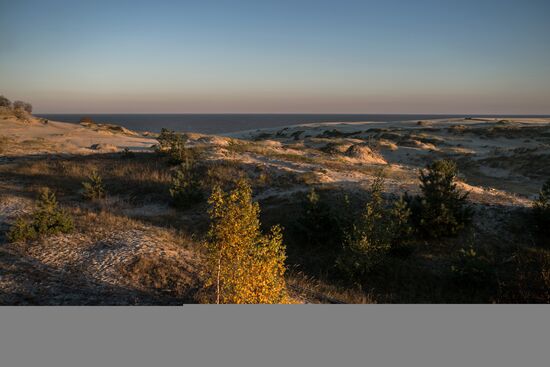 Curonian Spit national park in Kaliningrad Region