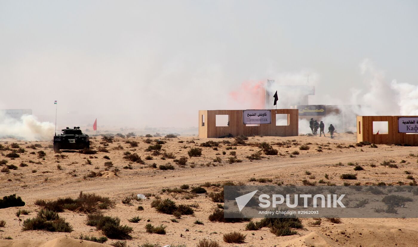 Russia, Egypt hold joint counter-terrorism exercise Defenders of Friendship 2016