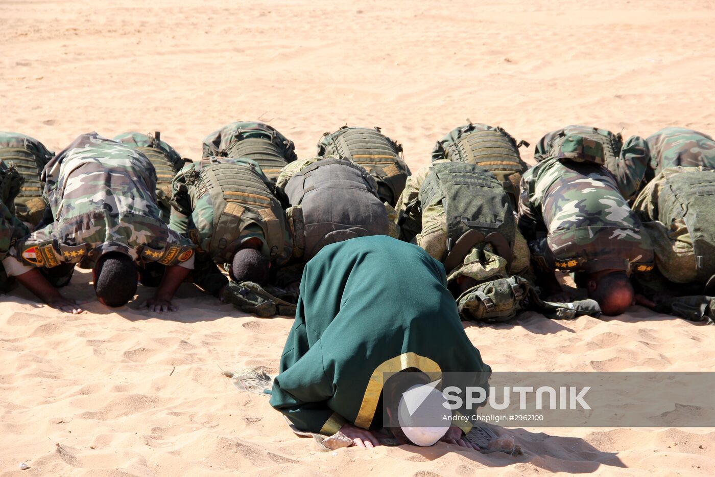Russia, Egypt hold joint counter-terrorism exercise Defenders of Friendship 2016