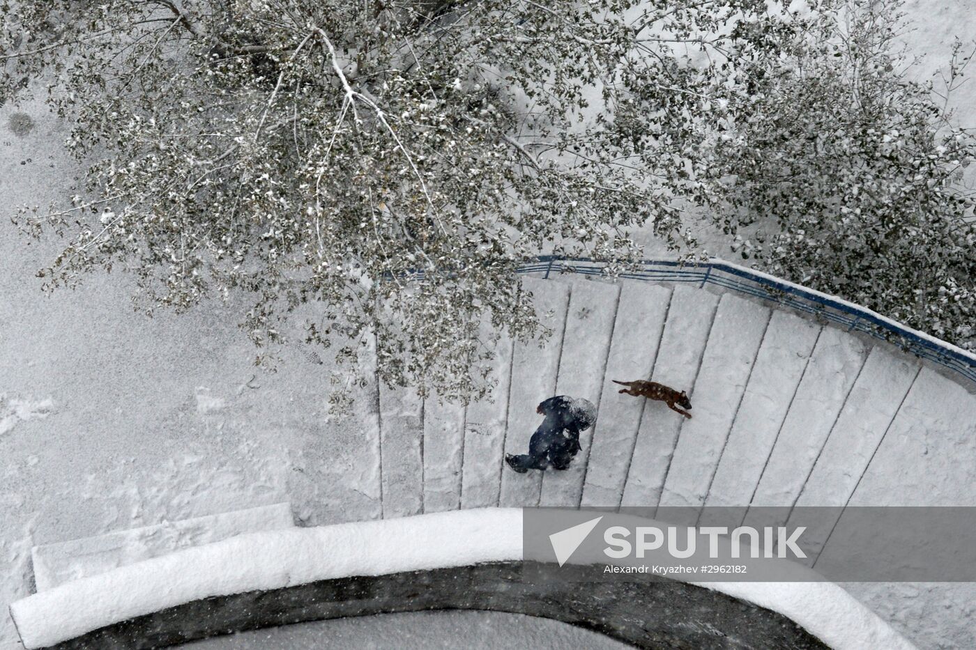 Winter in Novosibirsk