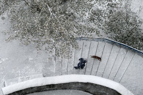 Winter in Novosibirsk
