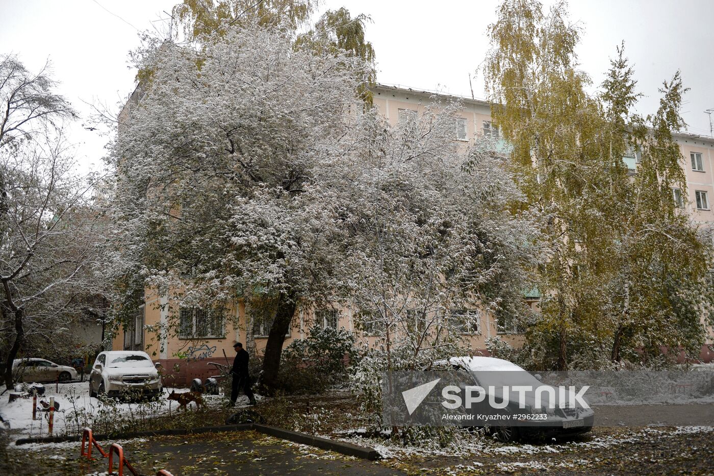 Winter in Novosibirsk