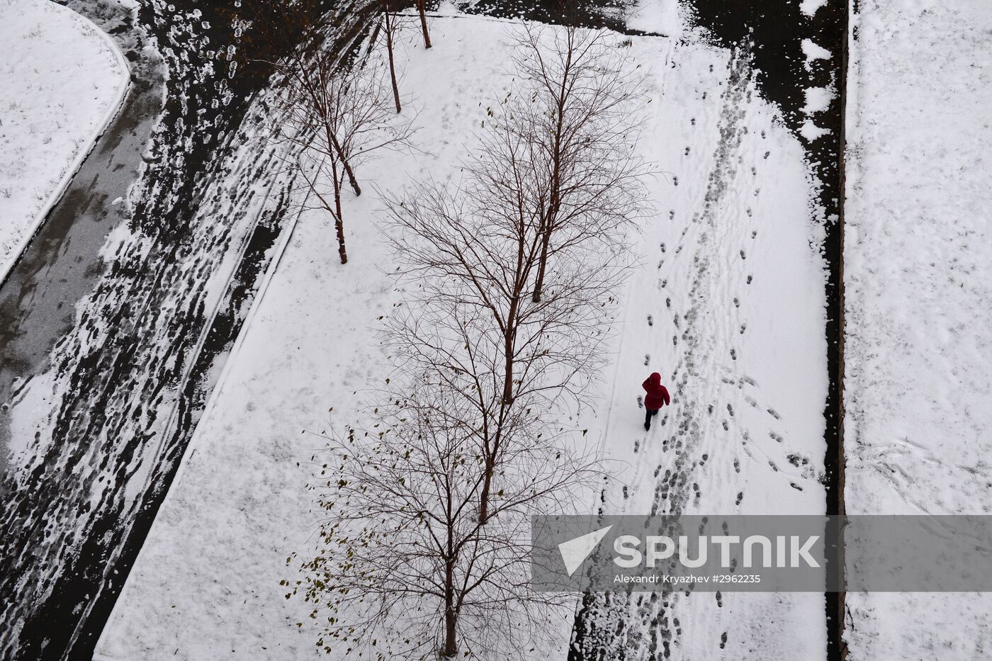 Winter in Novosibirsk