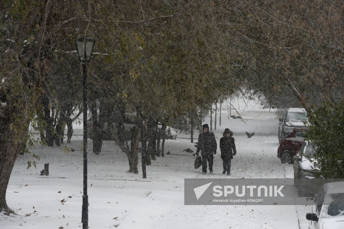 Winter in Novosibirsk