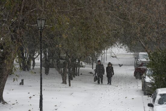 Winter in Novosibirsk