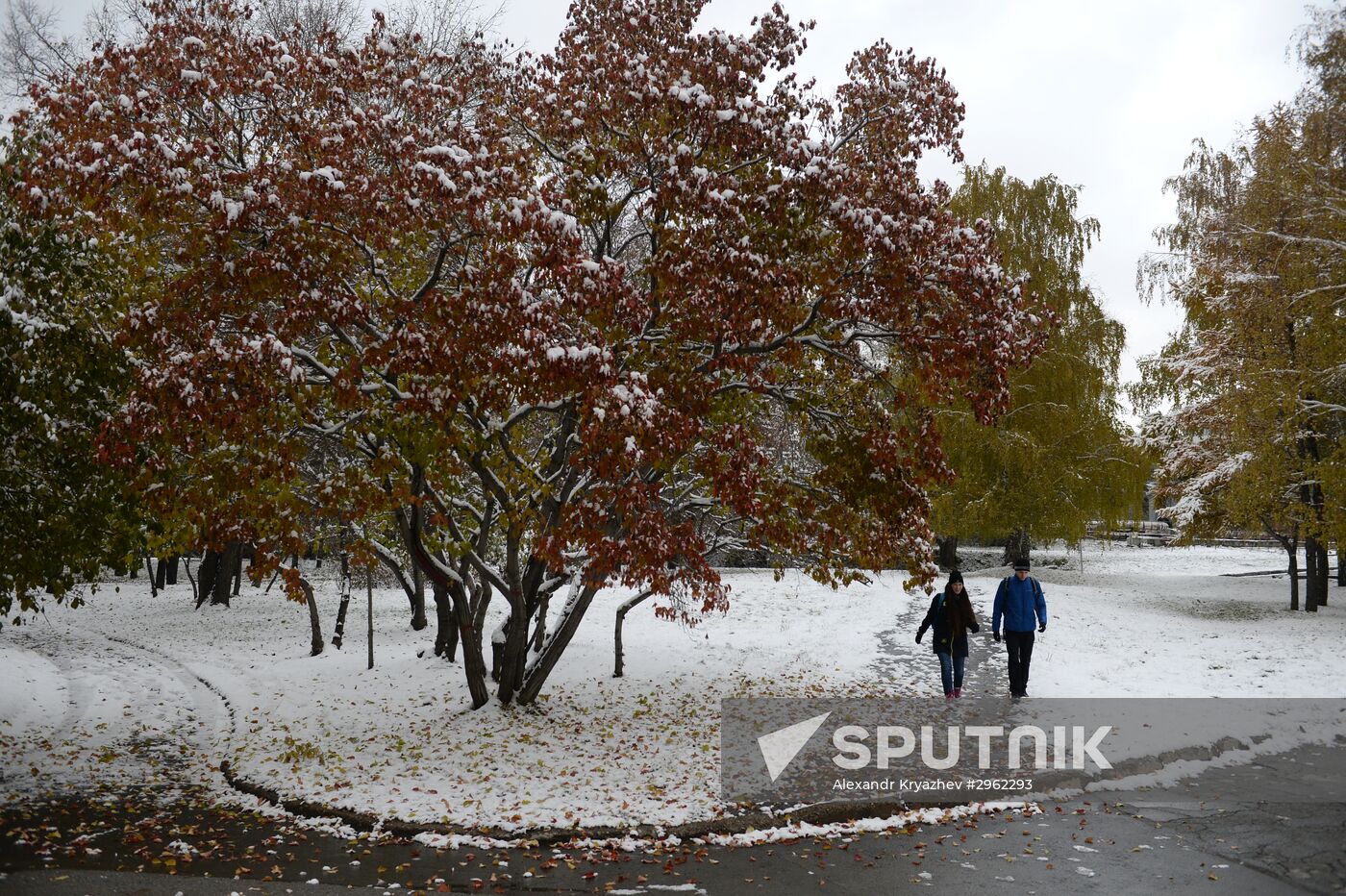 Winter in Novosibirsk