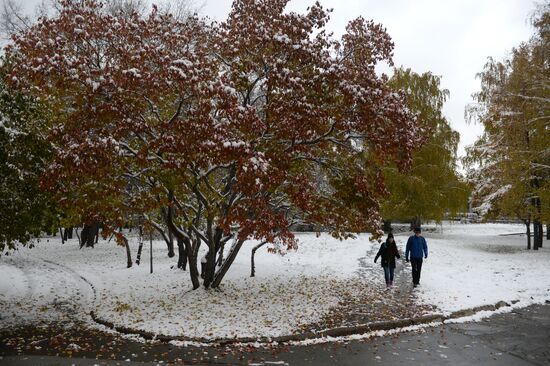 Winter in Novosibirsk