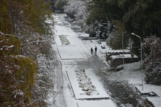 Winter in Novosibirsk