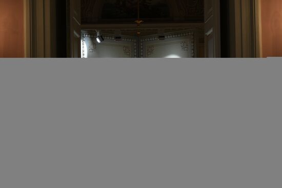 News conference on Reveal the History of the Bolshoi Theatre project